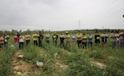 宁县平定村：晚熟西瓜上市 激活村集体“甜蜜经济”