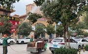宁县：“红果”妆秋色 精细管护绘就宜居新城