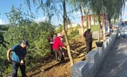 崔庄村：环境整治蝶变绘就乡村振兴宜居画卷