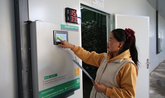 宁县：投资建设加力提速 项目进度不断加快