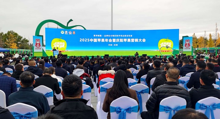 宁县组团参加2025中国苹果年会暨庆阳苹果营销大会