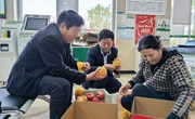 宁县邮政:助力宁县苹果“邮”往全国