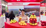 宁县苹果亮相第十八届亚果会