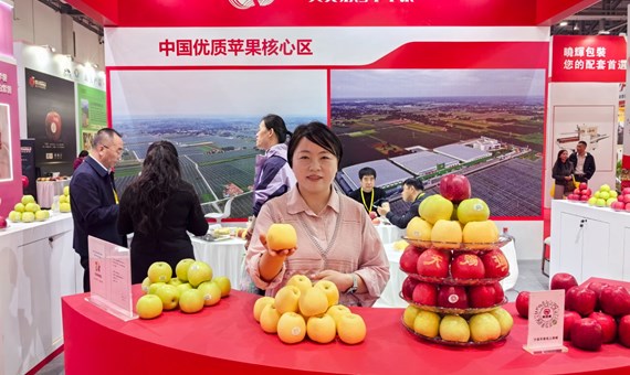 宁县苹果亮相第十八届亚果会