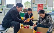 红果出陇东 速递暖民心 —— 宁县快递赋能特色产业助农增收