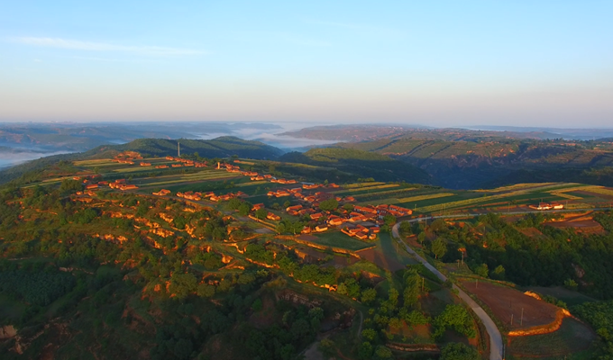 宁县：林下生“金” 绿野奏响富民曲