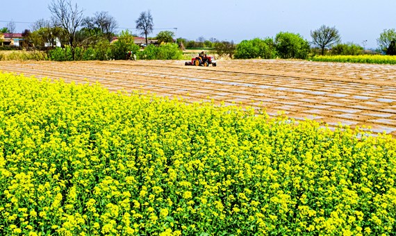 “农”墨重彩绘新卷 ——宁县“十四五”时期农业产业提质增效工作综述