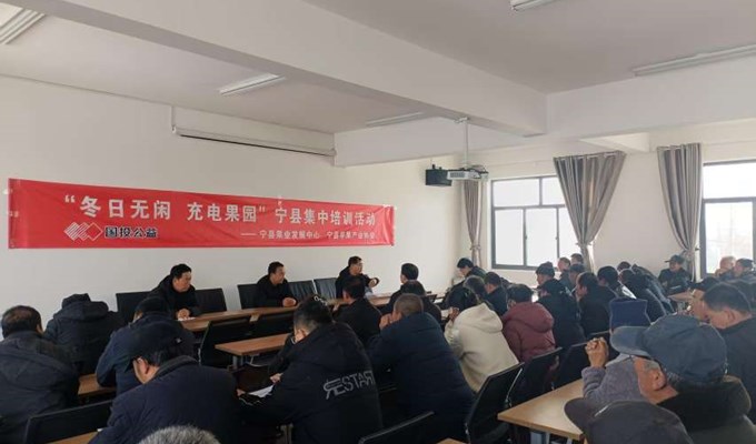 宁县：冬日“充电”强技能 技术培训筑牢苹果产业提质根基