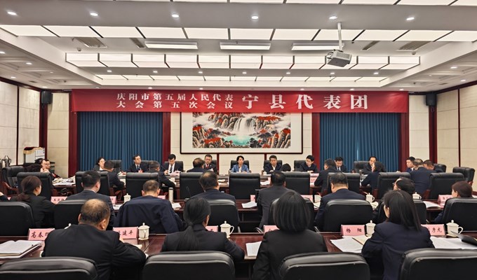 锚定目标勇担当 扬帆奋进开新局 ——市第五届人民代表大会第五次会议宁县代表团审议市政府工作报告